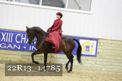 22R13_14785 proof
