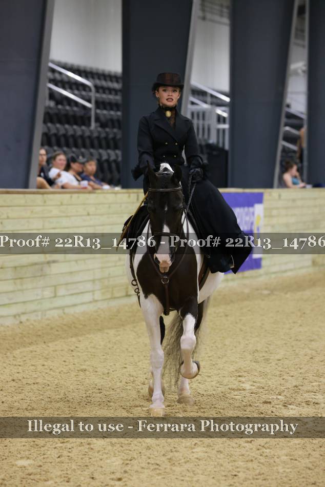 Proof 22R13_14786