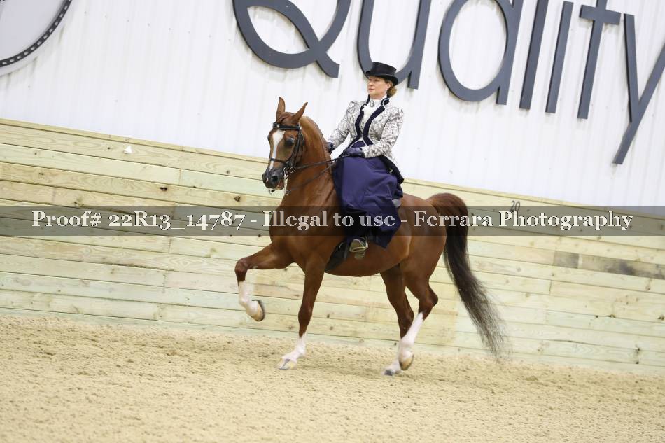 Proof 22R13_14787