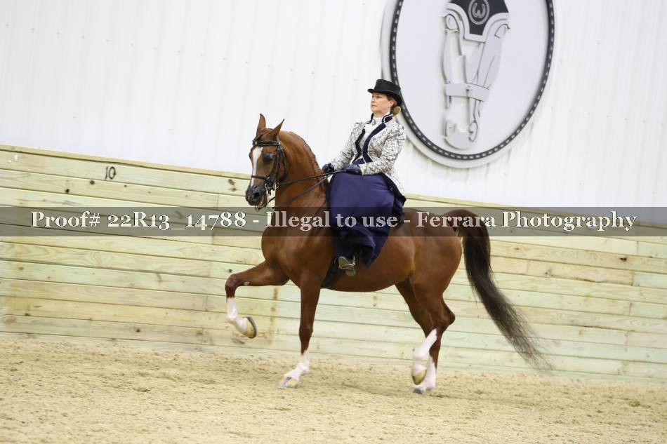Proof 22R13_14788
