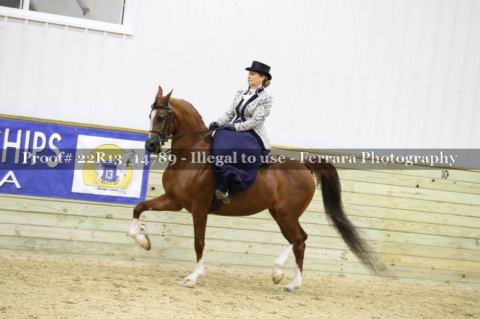 Proof 22R13_14789