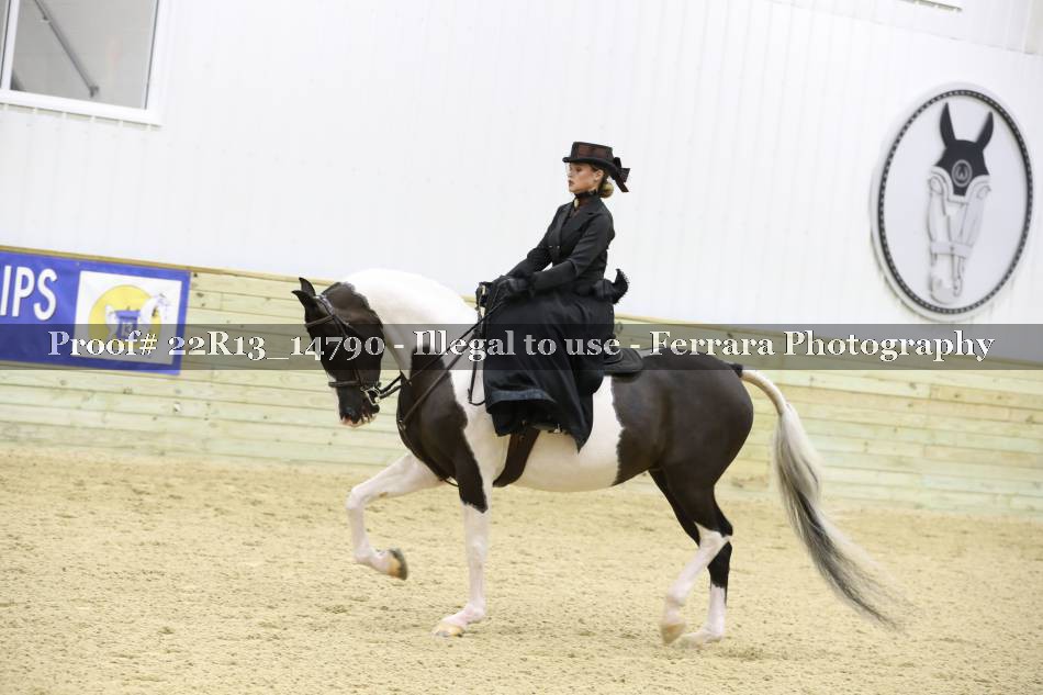 Proof 22R13_14790