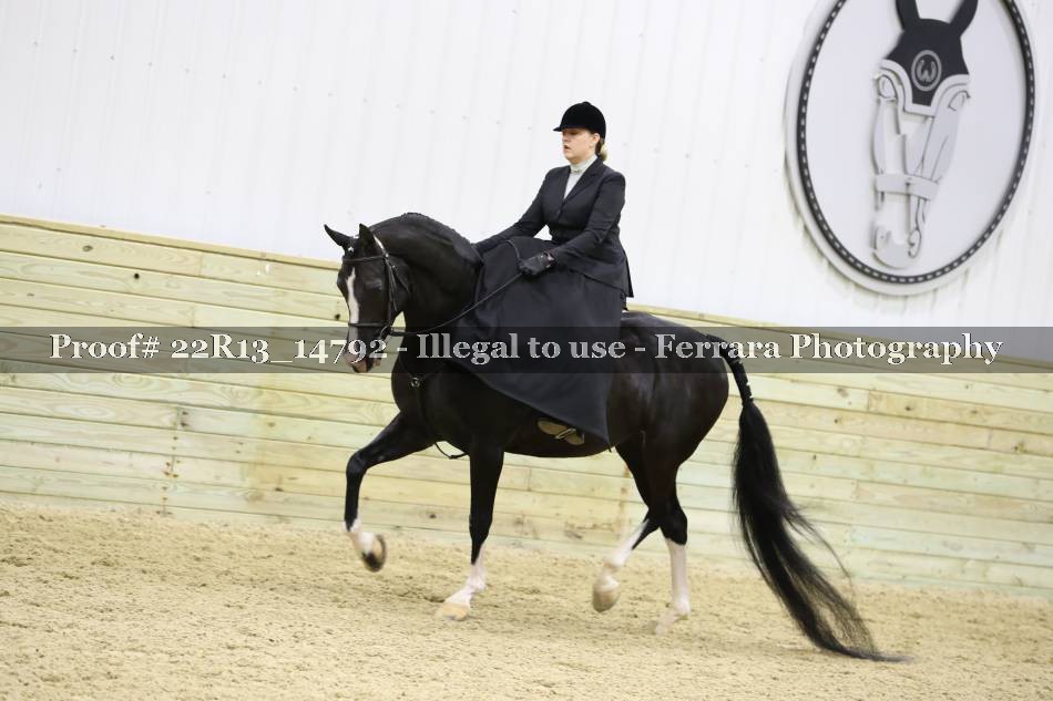Proof 22R13_14792