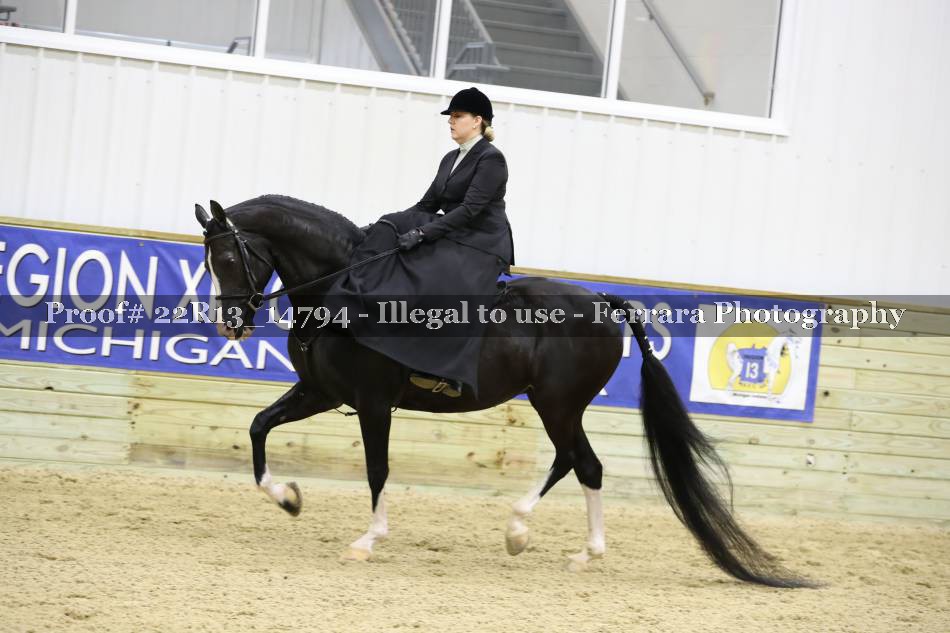 Proof 22R13_14794