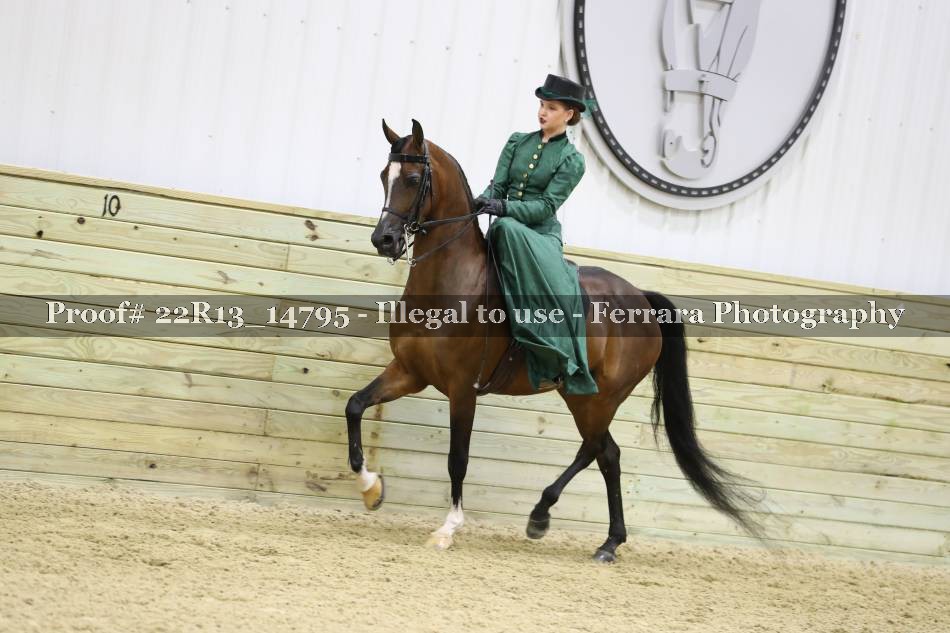 Proof 22R13_14795