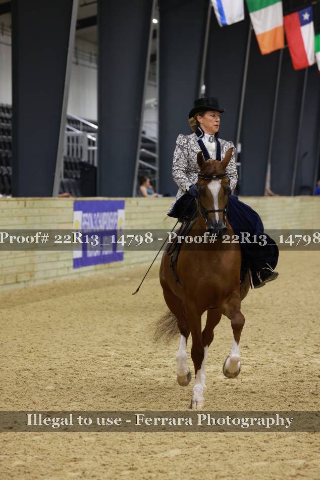 Proof 22R13_14798