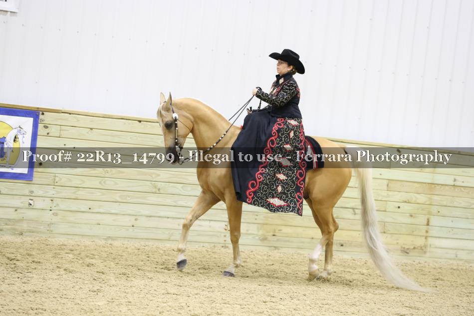 Proof 22R13_14799