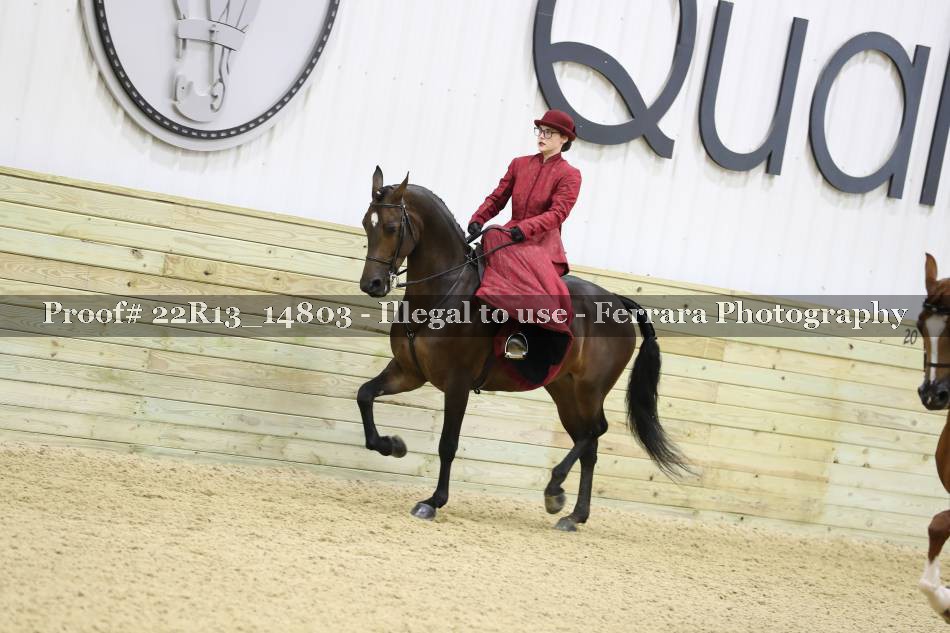 Proof 22R13_14803
