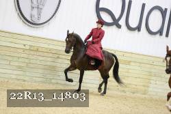 22R13_14803 proof