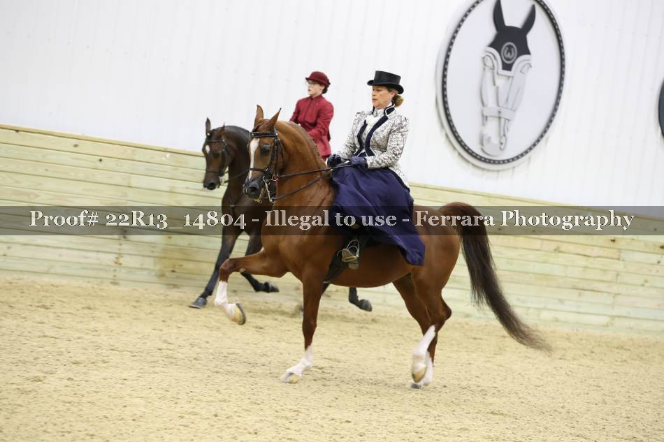 Proof 22R13_14804