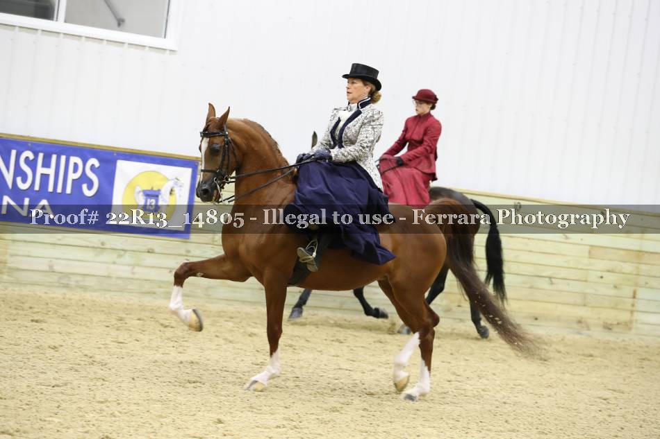 Proof 22R13_14805
