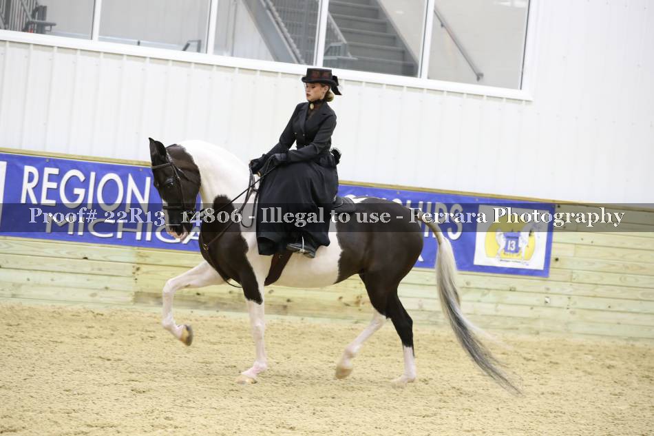 Proof 22R13_14806