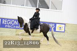 22R13_14806 proof