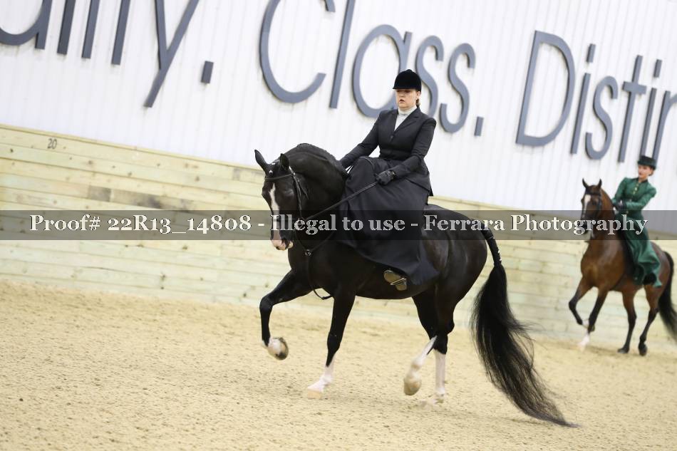 Proof 22R13_14808