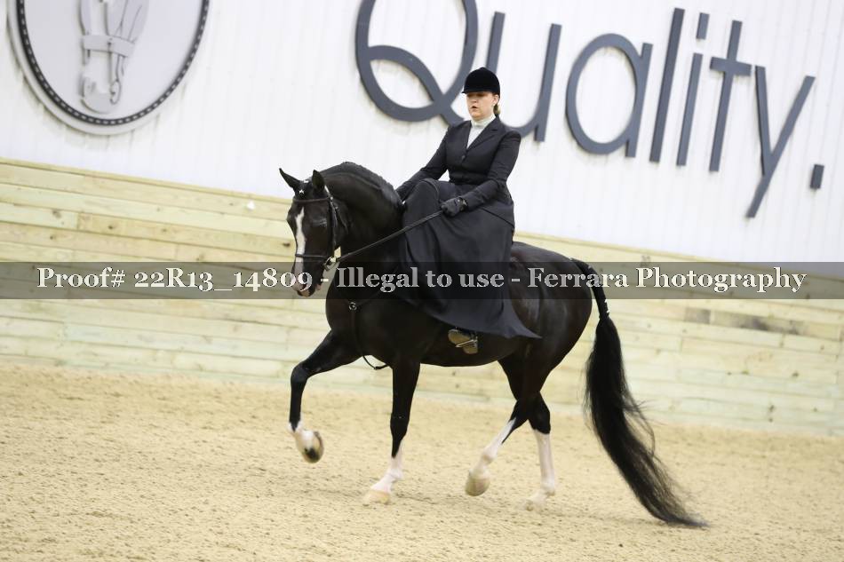 Proof 22R13_14809