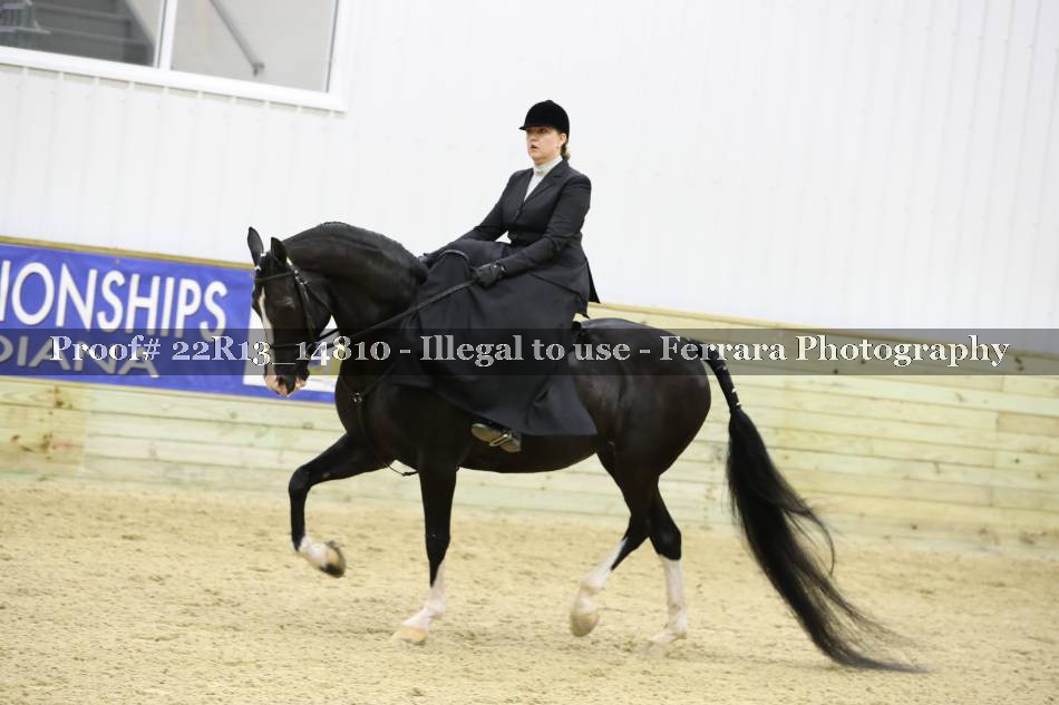Proof 22R13_14810