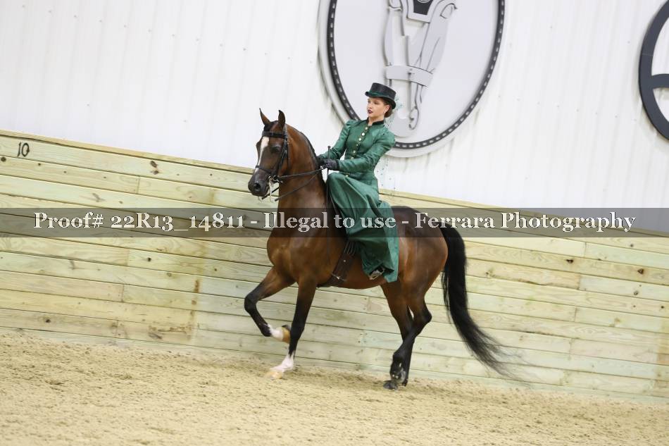 Proof 22R13_14811