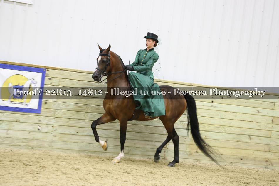 Proof 22R13_14812