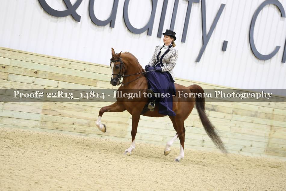 Proof 22R13_14814