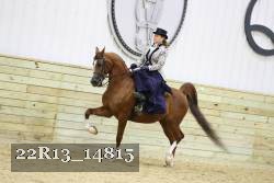 22R13_14815 proof