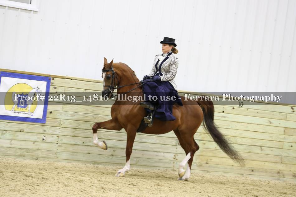 Proof 22R13_14816