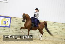 22R13_14816 proof