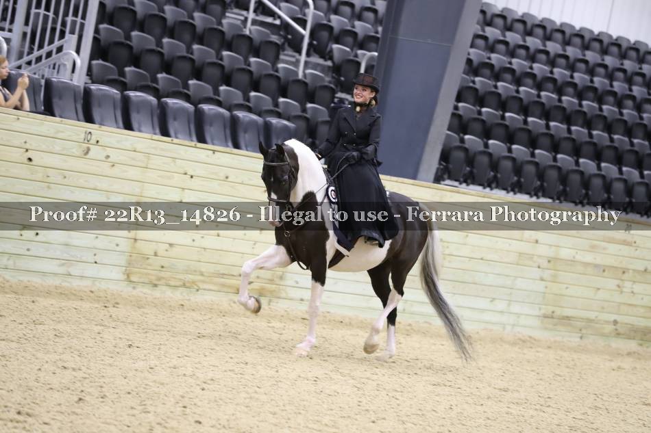 Proof 22R13_14826