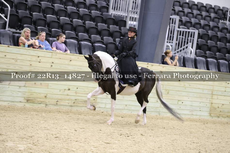 Proof 22R13_14827