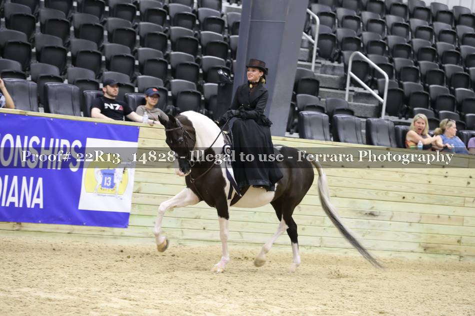 Proof 22R13_14828