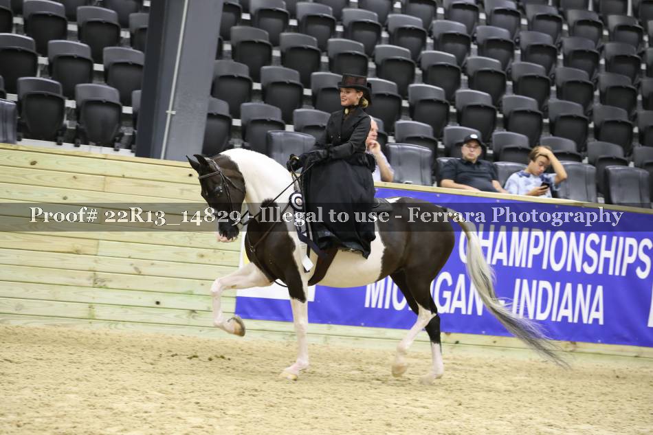 Proof 22R13_14829