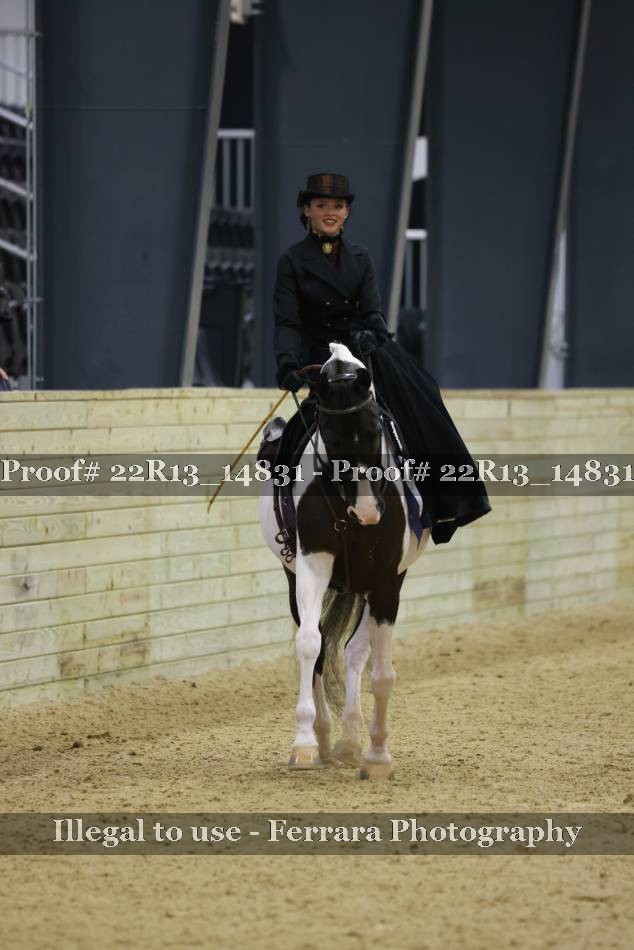 Proof 22R13_14831