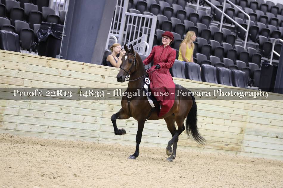 Proof 22R13_14833
