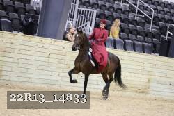 22R13_14833 proof