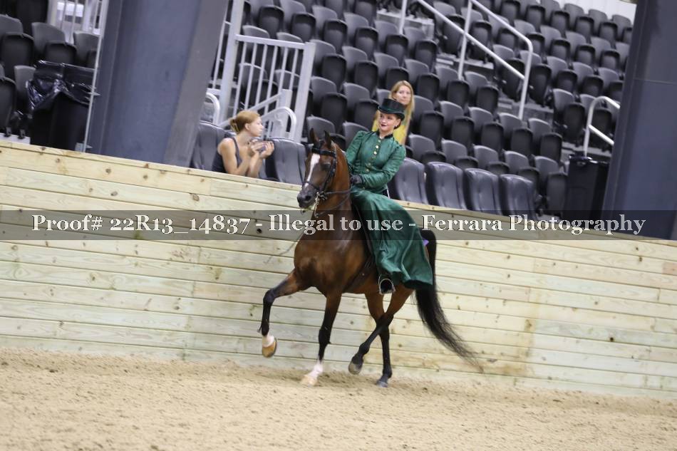 Proof 22R13_14837