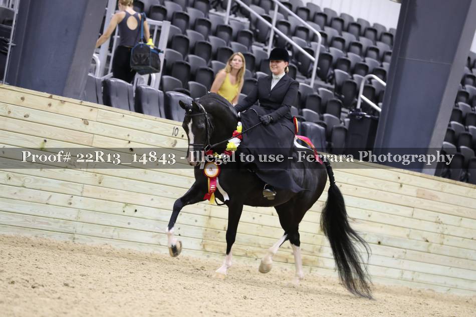 Proof 22R13_14843