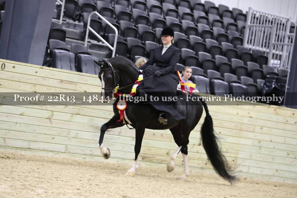 Proof 22R13_14844