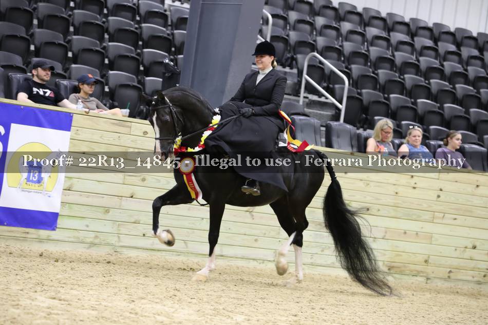 Proof 22R13_14845