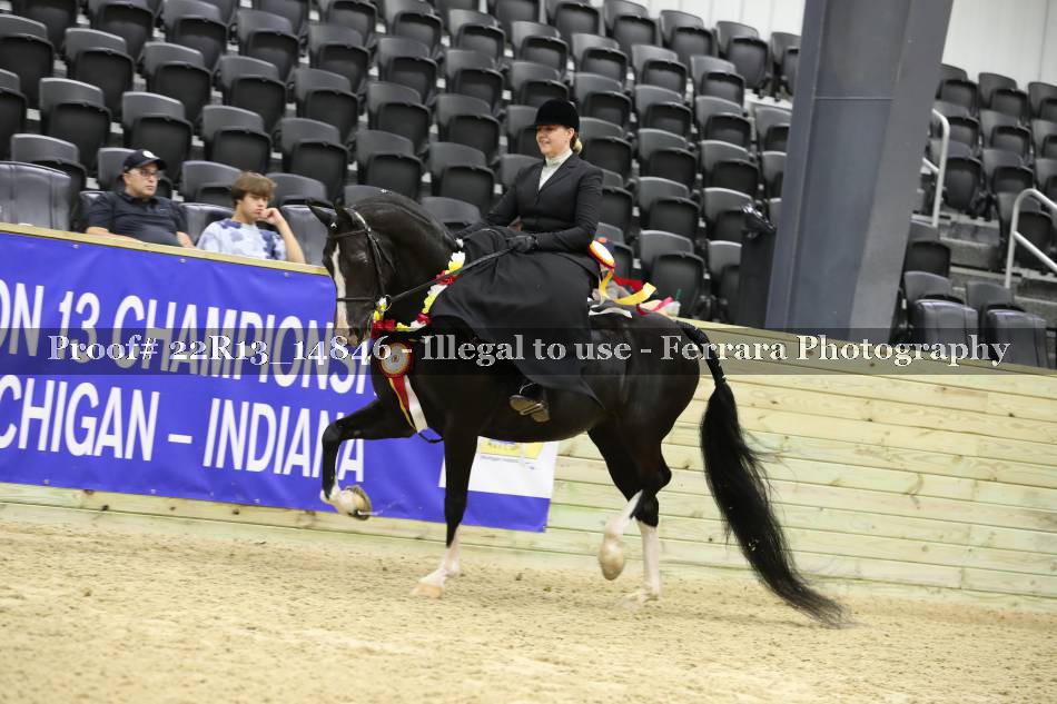 Proof 22R13_14846