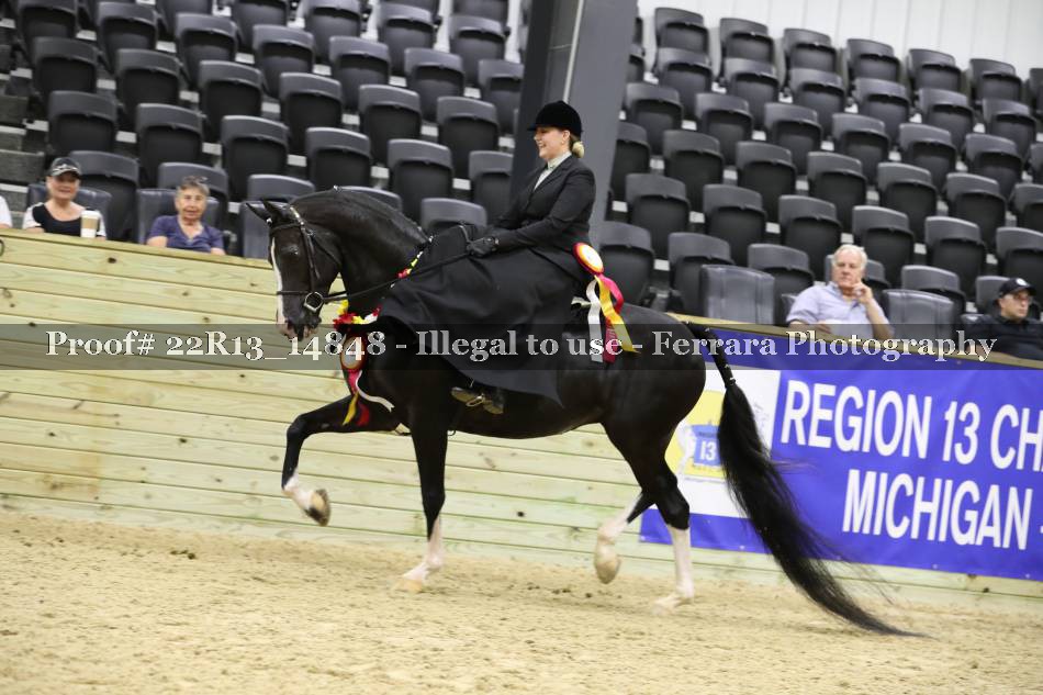 Proof 22R13_14848