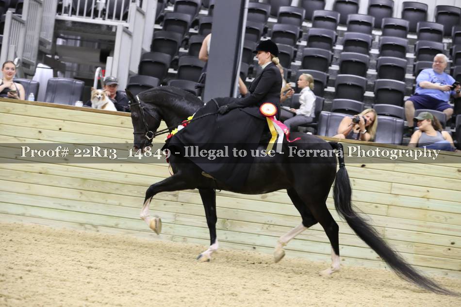 Proof 22R13_14849