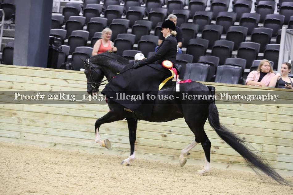 Proof 22R13_14851