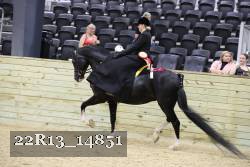 22R13_14851 proof