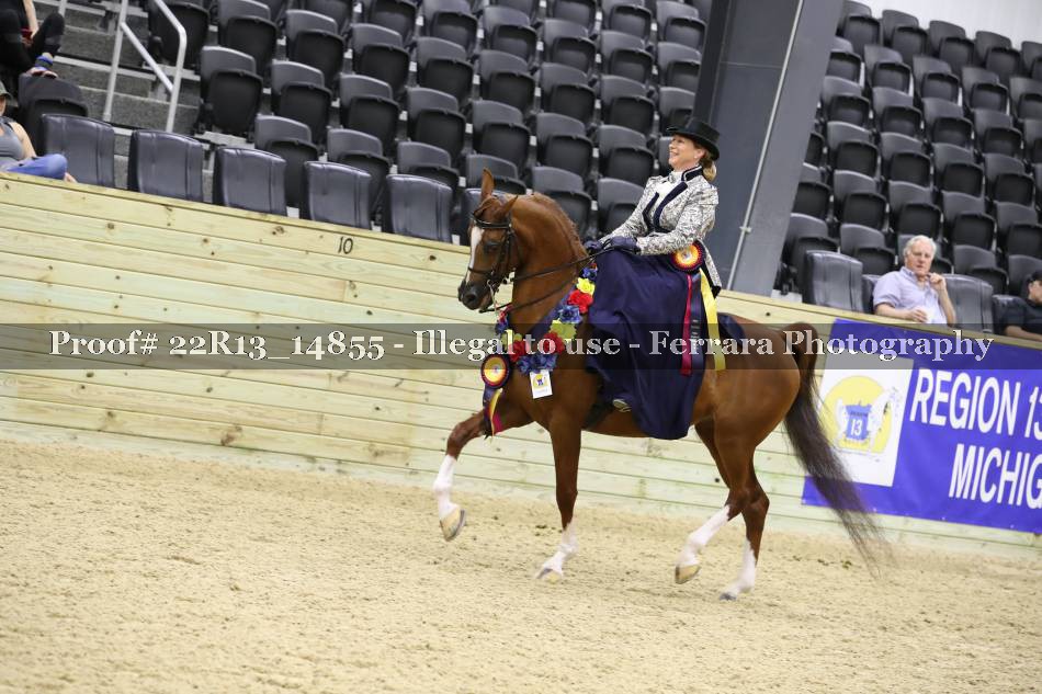 Proof 22R13_14855
