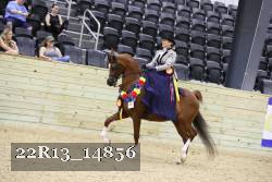 22R13_14856 proof