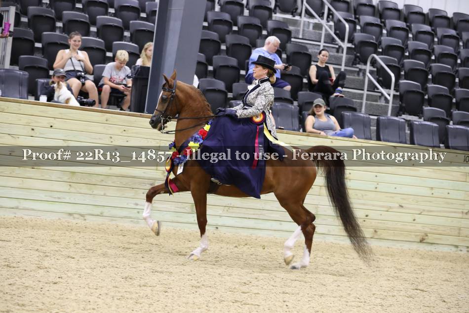 Proof 22R13_14857