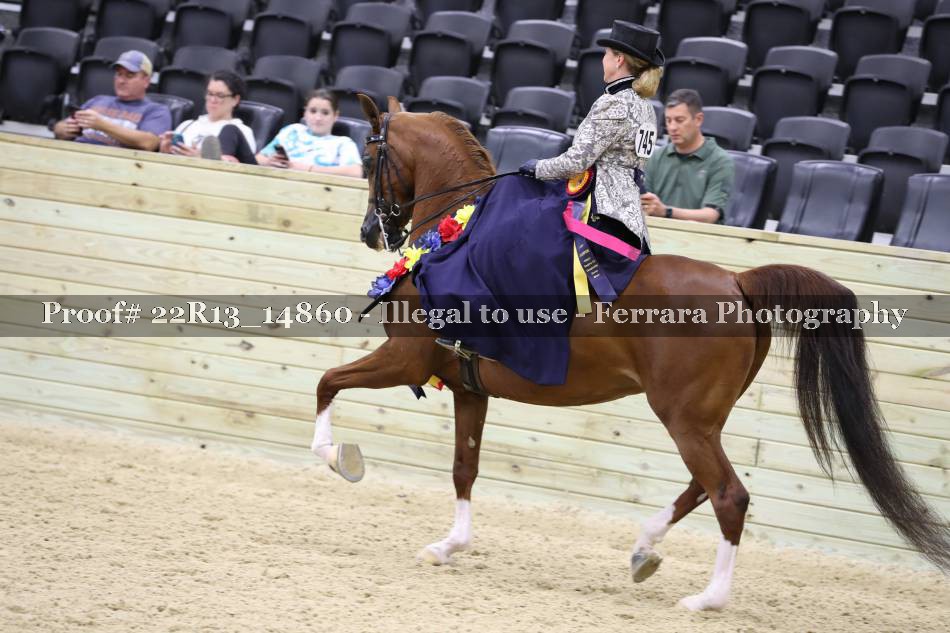 Proof 22R13_14860