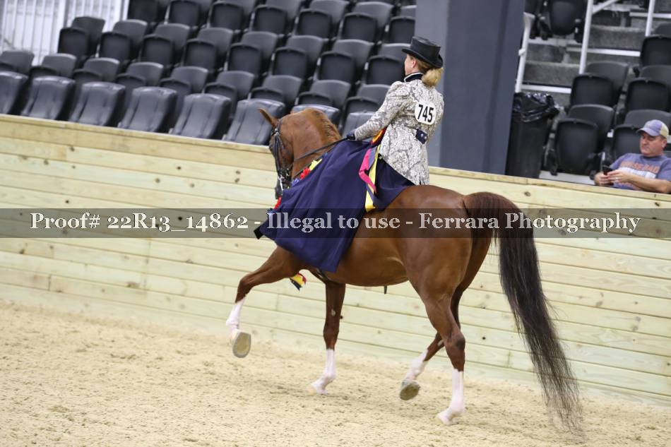 Proof 22R13_14862