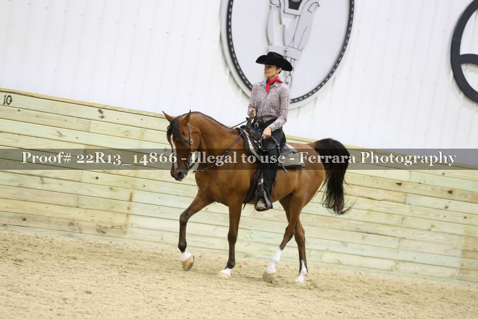 Proof 22R13_14866