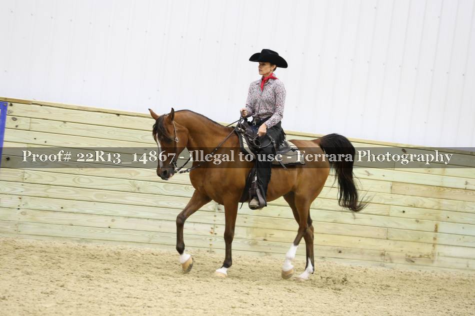 Proof 22R13_14867