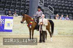 22R13_14873 proof